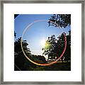 Ray Of Sunshine Framed Print