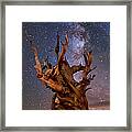 Reach For The Stars Framed Print