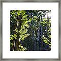 Reach Framed Print