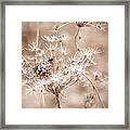 Reach Framed Print