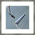 Ready To Fish Framed Print
