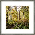 Recollection Framed Print