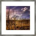 Recovery Framed Print