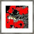 Red And Black Poppies 2 Framed Print