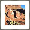 Red And White Cactus Framed Print