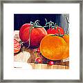 Red And Yellow Tomatoes Framed Print