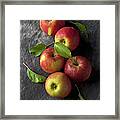 Red Apples With Leaves On Black Framed Print