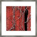 Red Barn Wood With Dried Vines Framed Print