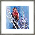The Red Bird With Pink Flowers Framed Print