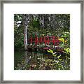 Red Bridge Framed Print