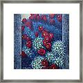 Red Cactus Framed Print