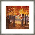 Red Canopy Framed Print