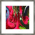 Red Celosia Plumosa Framed Print