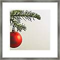 Red Christmas Bauble Hanging From Christmas Tree Framed Print