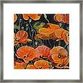 Red Corn Poppies Framed Print