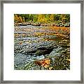 Red Creek Framed Print