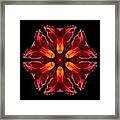 Red Daylily Ii Flower Mandala Framed Print