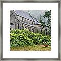 Red Deer And Church Framed Print
