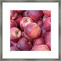 Red Delicious Framed Print