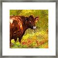 Red Devon Cattle - Red Devon Cattle In A Farm Scene- Cow Art Framed Print