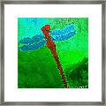 Red Dragonfly Framed Print