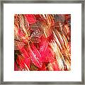 Red Fall Leaves 10 Framed Print