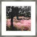 Red Fire Grass Field Gulf Coast Florida Framed Print