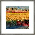 Red Gate At Sunrise Framed Print