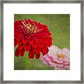 Red Glow Framed Print