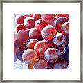 Red Grape Essence Framed Print