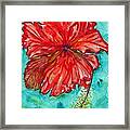 Red Hibiscus Flower Framed Print