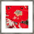 Red Lacquered Primroses Framed Print