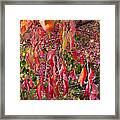 Red Leaves And Berries Framed Print