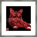 Red Maine Coon Cat - 3926 - Bb Framed Print