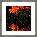 Red Maple Leaves Framed Print