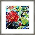 Red Ohia Lehua Flower Framed Print