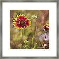 Red On Yellow Framed Print