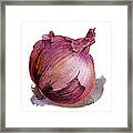 Red Onion Framed Print