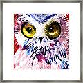 Red Owl Framed Print