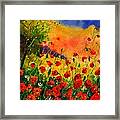 Red Poppies 45 Framed Print