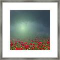 Red Poppies Field In A Foggy Morning Framed Print