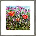 Red Poppies Framed Print
