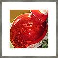 Red Reflections Framed Print