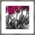 Red Rose Color Block Framed Print