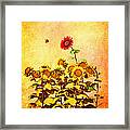 Red Sunflower Framed Print