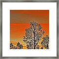 Red Sunset With Trees Framed Print