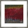 Red Trees Watercolor Framed Print