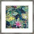 Red Waterlily Framed Print