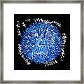 Red  White  Blue  Abstract Framed Print