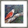 Red Winged Framed Print